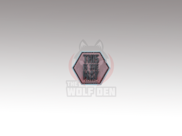 Evike Parche "Operator Profile PVC Hex Patch" (The Way)