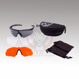 Revision Stingerhawk Laser Protective Ballistic Eyewear Essential Kit (Black Frame / FT-2 & Clear Lens)